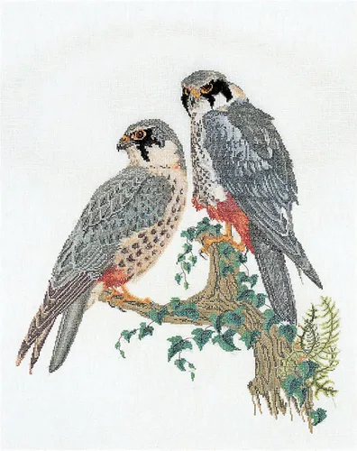 Thea Gouverneur - Kit de punto de cruz contado - Falcons - Aida - 16 unidades - Kit de bordado para adultos - Hilos de bordado DMC y otros