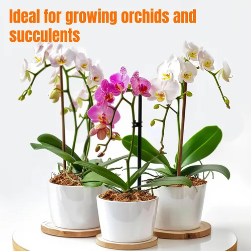 Miniatura 5 de 3 Oz de musgo esfagno para orquídeas - Sukh Musgo de turba esfagno para plantas, fibra larga, mezcla para macetas de orquídeas de fibra larga
