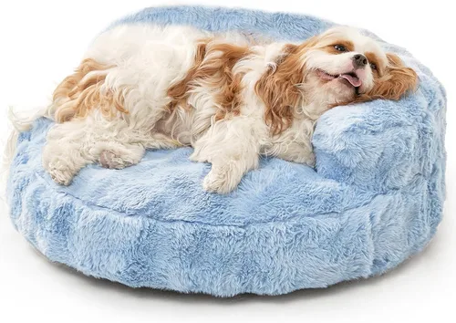 Miniatura 21 de EHEYCIGA Sofá cama suave para gatos de interior, cama extra pequeña esponjosa para perros con funda extraíble lavable, sofá para mascotas, Camello