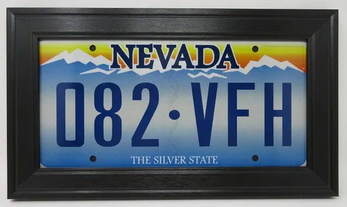 Placa de matrícula de automóvil (cristal y placa no incluidos) marco de fotos negro fabricado en Estados Unidos