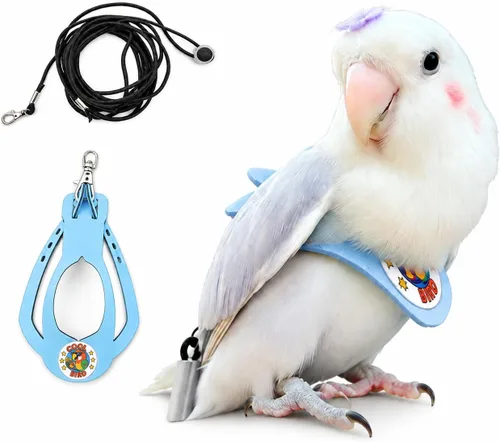 Miniatura 24 de Juego de arnés ajustable y correa para pájaros pequeños, apto para periquitos, conures, cacatúas, mejillas verdes, loros cuáqueros (verde, XS) 6350-6