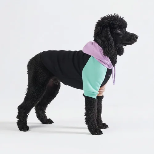 Miniatura 127 de Spark Paws Sudadera con capucha para perro, suéter de primera calidad para perros pequeños, medianos y grandes Trajes cálidos para bulldogs