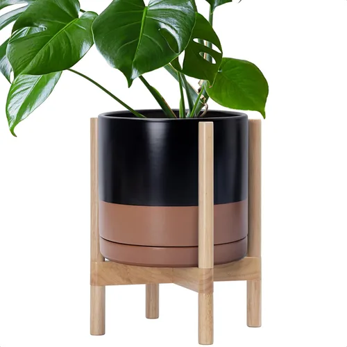 Miniatura 21 de D'vine Dev Maceta de cerámica con soporte de ébano – Maceta redonda moderna de 8 pulgadas con soporte para maceta de madera, color negro, 55-B-M-2
