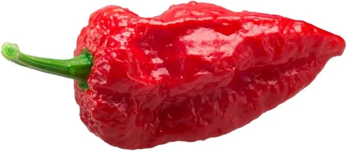 Miniatura 10 de Semillas de pimiento exótico para plantar - (pimienta de 5 colores)