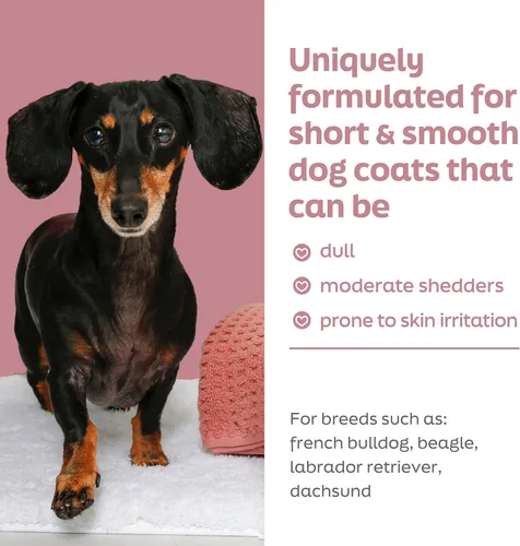 Miniatura 3 de True Coat Short & Smooth Coat - Champú para perros, 5 en 1, calma y brilla con leche de avena, aceite de coco y vitamina E, 16 onzas Corto y suave