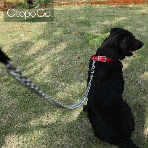 Miniatura 8 de Correa resistente para perro, correa de metal para perro con mango acolchado para perros grandes y medianos (4 pies x 0.118 in (0-80 libras))