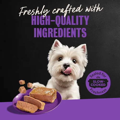 Miniatura 13 de Bandejas de comida para perro de carne húmeda saborizada Cesar Classics, para adultos