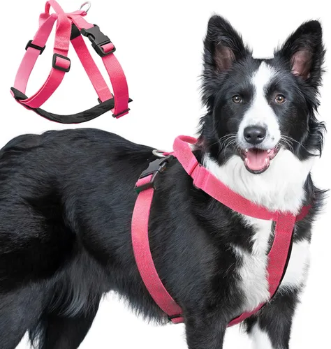 Miniatura 10 de Galaxy - Arnés reflectante para perro, ajuste ajustable de 4 puntos, hebillas antipellizcos, control de clip trasero y asa de emergencia, forro