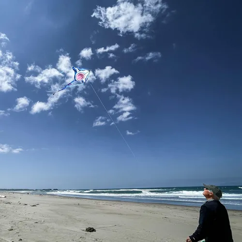 Miniatura 7 de In the Breeze Cometa Fly-Hi de 45 pulgadas, cometa de una sola línea, tela Ripstop, línea y bolsa incluidas