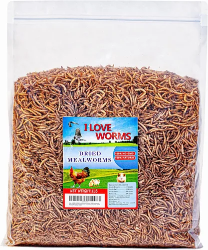 I LOVE WORMS Gusanos secos (2.27 kg), alimento para pájaros silvestres, gusanos altos en proteínas para pájaros azules, pollos, patos, reptiles,