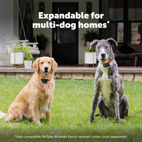Miniatura 9 de PetSafe Sistema inalámbrico de contención de valla para mascotas, collar receptor solo para perros y gatos de más de 8 libras, resistente al agua