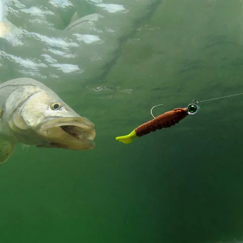 Miniatura 8 de Dr.Fish Paquete de 10 Señuelos con Ojos de Pesca Ojos 3D Cabezas de Trucha Anzuelo para Lubina Señuelo Nadador de Agua Salada Cabezas de Jig de Agua