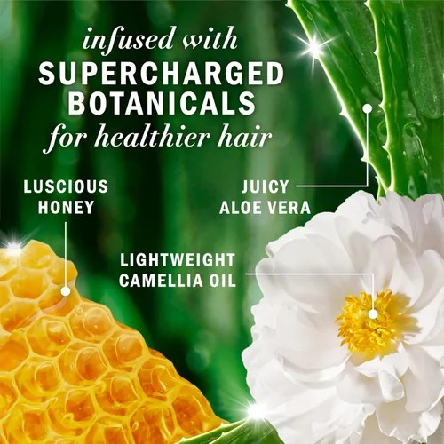 Miniatura 4 de Herbal Essences Honey - Acondicionador de humedad diario, protege y nutre el cabello seco, acondicionador hidratante con aceite de camelia