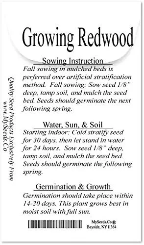 Miniatura 3 de Big Pack Landscape Seeds - Semillas de árbol de secoya de California - Sequoia sempervirens por MySeeds.Co (paquete grande California Redwood)