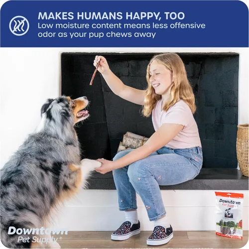 Miniatura 5 de Downtown Pet Supply Bully Sticks para perros, tamaño junior (6 pulgadas, paquete de 40 unidades) masticables para perros sin cuero crudo de larga