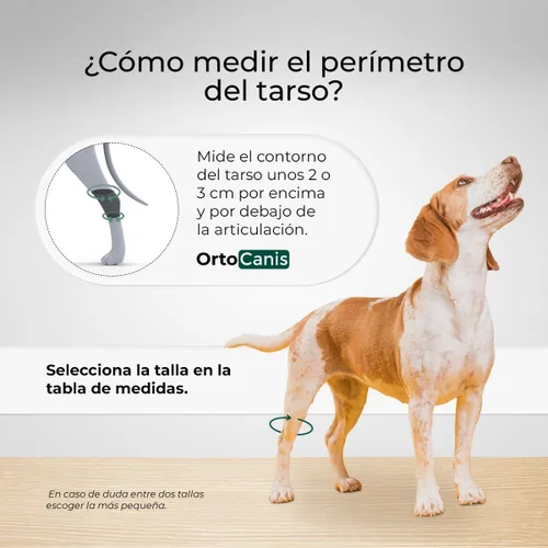 Miniatura 3 de Ortocanis Férula de Hock para perros - inmoviliza. Protege. Apoya el tobillo - Férulas flexibles extraíbles.