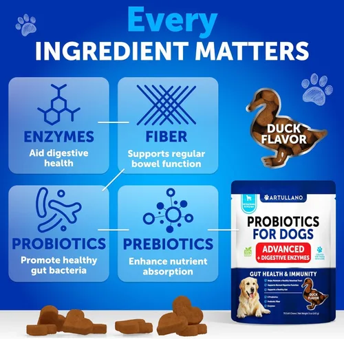 Miniatura 6 de Probióticos para Perros - Apoyo para la Salud Intestinal, Piel Con Picazón, Alergias, Inmunidad, Equilibrio de Levadura - Probióticos para Perros
