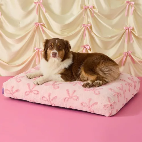 Miniatura 25 de LE SURE - Cama pequeña para perro con espuma triturada gruesa, cama para interiores con funda afelpada extraíble y base antideslizante, verde