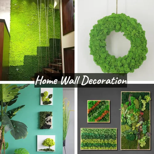 Miniatura 4 de Musgo Conservado de Gusaloo para Plantas en Maceta, Musgo Natural Fresco Verde de Reno para Artesanías, Decoración Floral de Pared, Decoración