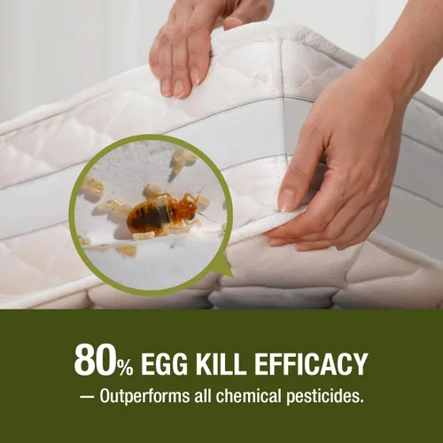Miniatura 3 de EcoVenger (anteriormente EcoRaider) Mata insectos con rociador remoto de 1 galón – Mata al 100% todas las etapas al contacto, mata insectos
