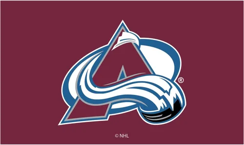 Miniatura 15 de Team Sports America Tapete con licencia oficial de la NHL 28 x 16 pulgadas (Anaheim Ducks)