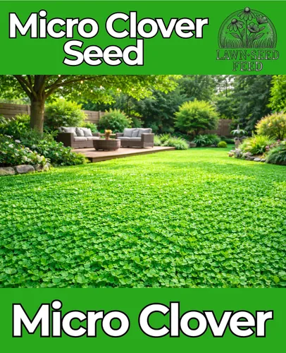 Miniatura 2 de Micro Clover - (8 onzas) recubierto de nitro, 120,000 semillas en total - Cubre hasta 1,000 pies cuadrados. Transforma tu césped con semillas