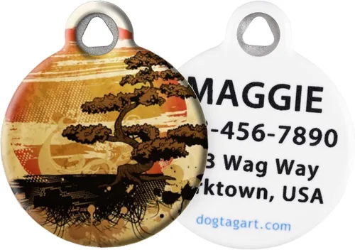 Etiqueta de identificación personalizada con sol, luna y estrellas para perros y gatos, etiqueta para perro personalizada con identificación