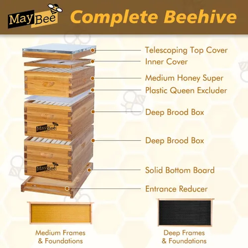 Miniatura 2 de MayBee Colmena Langstroth de 8 marcos sumergida en cera de abejas 100%, colmena de abejas para principiantes, colmena de abeja de miel incluye 2