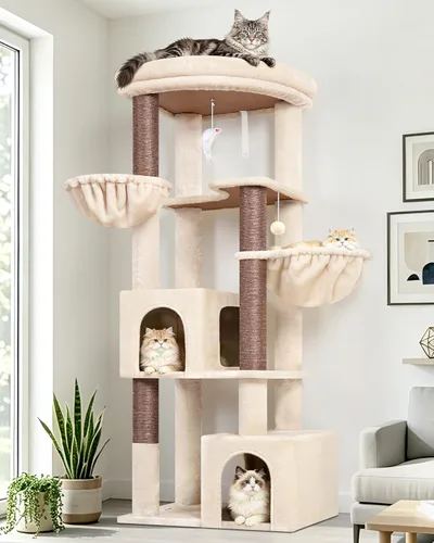 Globlazer Árbol esquinero de 64 pulgadas para gatos grandes de interior, torre para gatos de varios niveles que ahorra espacio con 2 condominios, 2