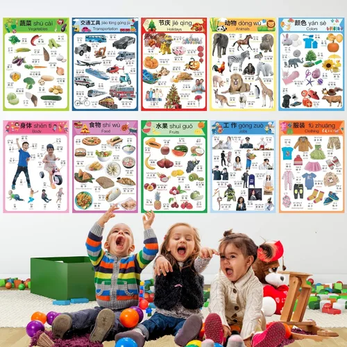 Miniatura 8 de N/A/ Juego de 10 carteles de aprendizaje chino para niños. Inspirado en Montessori. Bilingüe con chino simplificado, inglés y pinyin.