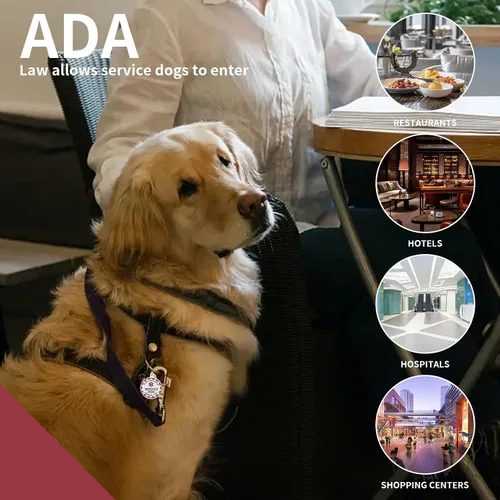 Miniatura 4 de Etiqueta de perro de servicio industrial para cachorros para animales de servicio, perros de apoyo emocional y perros de terapia, totalmente