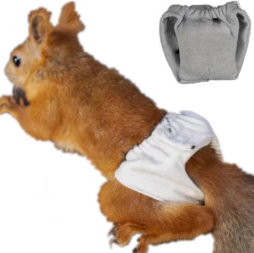 Miniatura 11 de Pañales reutilizables lavables de ardilla, altamente absorbentes, con pantalones fuertes y flexibles, sin fugas, pañales reutilizables para orina, 3