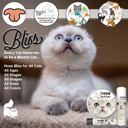 Miniatura 3 de The Blissful Cat - Mantequilla para la nariz, 0.15 onzas