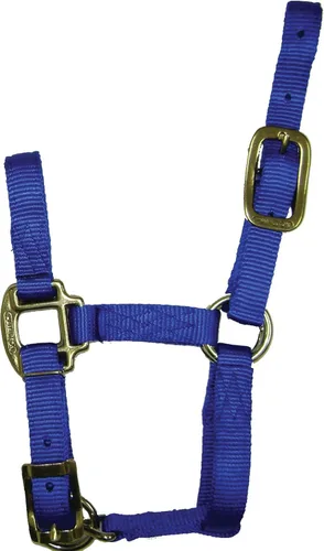 Miniatura 7 de Hamilton Quality Horse Halter, nailon de triple capa de 3/4", correa ajustable para la barbilla, poni o mini burro, 100-200 libras, negro