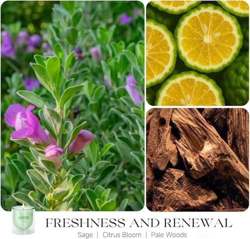 Miniatura 2 de 5. KOIMYSA Vela aromática de salvia y cítricos, vela de aromaterapia natural de soja no tóxica de mecha única para decoración del hogar, fragancia