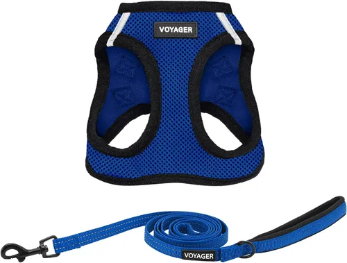 Miniatura 21 de Combo de arnés de malla Voyager Step-in Air para todo clima y correa reflectante para perro de 5 pies con mango de neopreno, para cachorros de razas