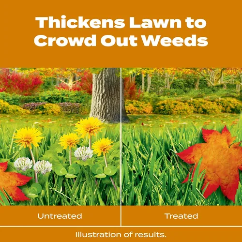 Miniatura 4 de Scotts Turf Builder WinterGuard Fall Weed & Feed5, Weed Killer Plus Fertilizante de otoño, 4,000 pies cuadrados, 11.28 libras. Weed Killer Plus