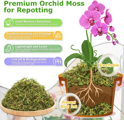 Miniatura 3 de Legigo Musgo esfagnum de 3.5 onzas para plantas, mezcla para macetas de musgo de orquídea natural de 4 cuartos de galón, mezcla seca, musgo