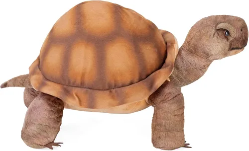 Miniatura 5 de Wild Republic Peluche de tortuga del desierto, animal de peluche, regalos para niños, Cuddlekins de 12 pulgadas, multicolor, 0 años