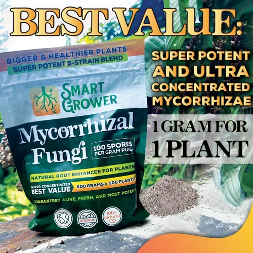 Miniatura 6 de Potenciador de raíces de hongos micorrízicos orgánicos para plantas, súper potente 100 esporas por gramo, mezcla de 5 cepas, resultados rápidos