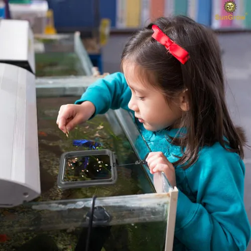 Miniatura 8 de SunGrow Anillo de alimentación de alimentos para peces, evita que las turbulencias del agua laven alimentos y plantas flotantes en el filtro