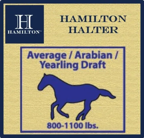 Miniatura 3 de Hamilton, Halter de 1 pulgada con barbilla ajustable, azul baya, 800-1100 libras