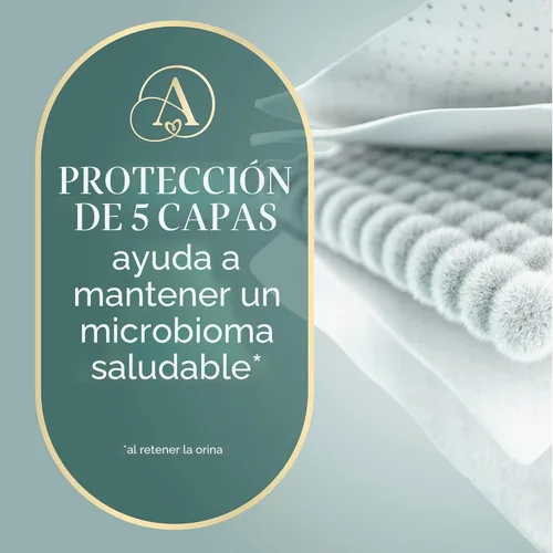 Miniatura 5 de Pampers Amore, tamaño 3 (13-26 libras), 66 unidades, nuestro mejor pañal, hipoalergénico y sin fragancia, hasta 100% a prueba de fugas, suave como
