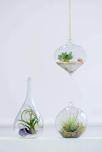 Miniatura 5 de Mkono Paquete de 5 macetas de vidrio colgantes para plantas de aire, decoración de terrario para suculentas, Tillandsia, portavelas