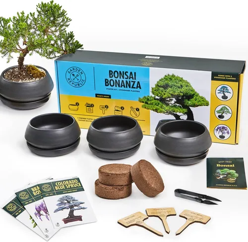 Kit de semillas de árbol Bonsái para principiantes - Mini juego de cultivo de plantas Bonsái, 3 tipos de semillas, tierra para macetas, macetas,