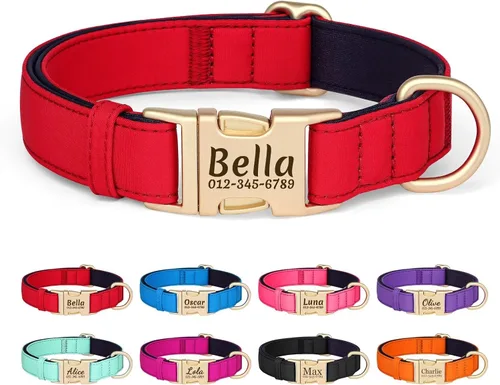 Collar para perro personalizado PET ARTIST, collar para perro rojo personalizado con etiqueta de identificación grabada silenciosa, nylon ligero y