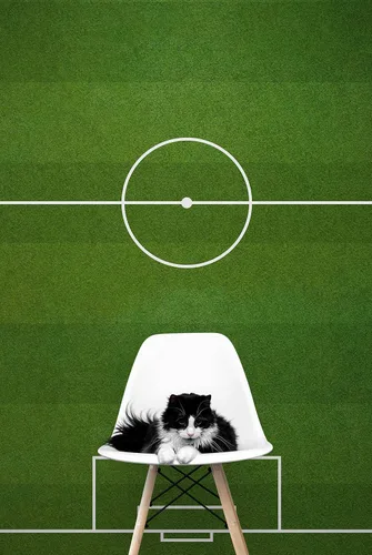 Miniatura 8 de Papel tapiz para campo de fútbol. Papel tapiz para cancha de fútbol. Papel tapiz para estadio de fútbol. #6465