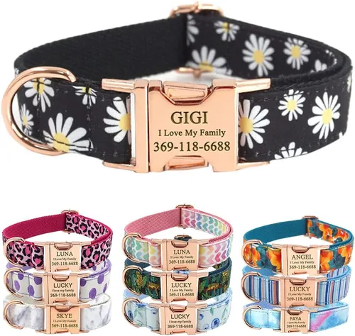 Miniatura 37 de PETDURO Collar Personalizado para Perro A cuadros Negro Blanco con Nombre y Teléfono Grabados en Hebilla de Metal Plateado para Perros Grandes