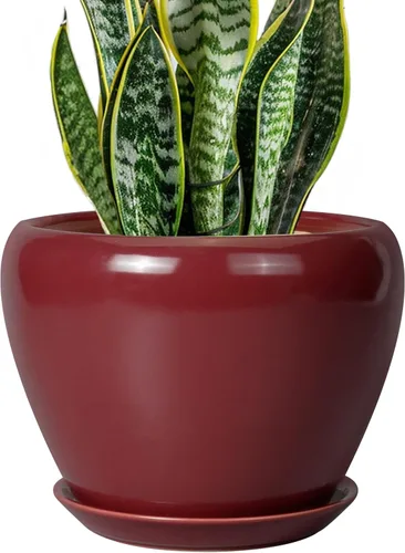 Miniatura 76 de Maceta de Cerámica Moderna con Esmalte para Suculentas con Agujero de Drenaje y Platillo, Maceta Redonda de 6 Pulgadas para Plantas de Flores