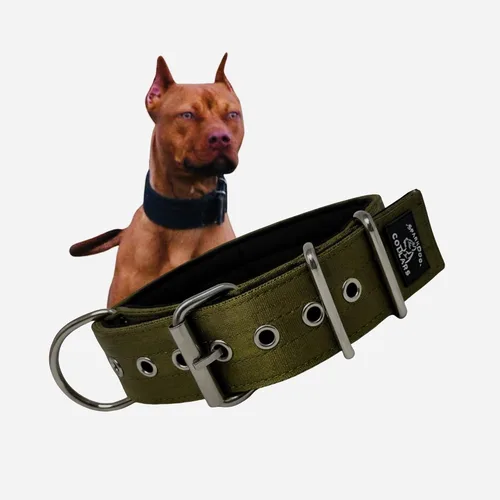 Miniatura 11 de SparkDog - Collar acolchado para perro, 2 pulgadas de ancho, nailon de 4 capas, correas para cinturón de seguridad, accesorios de acero inoxidable